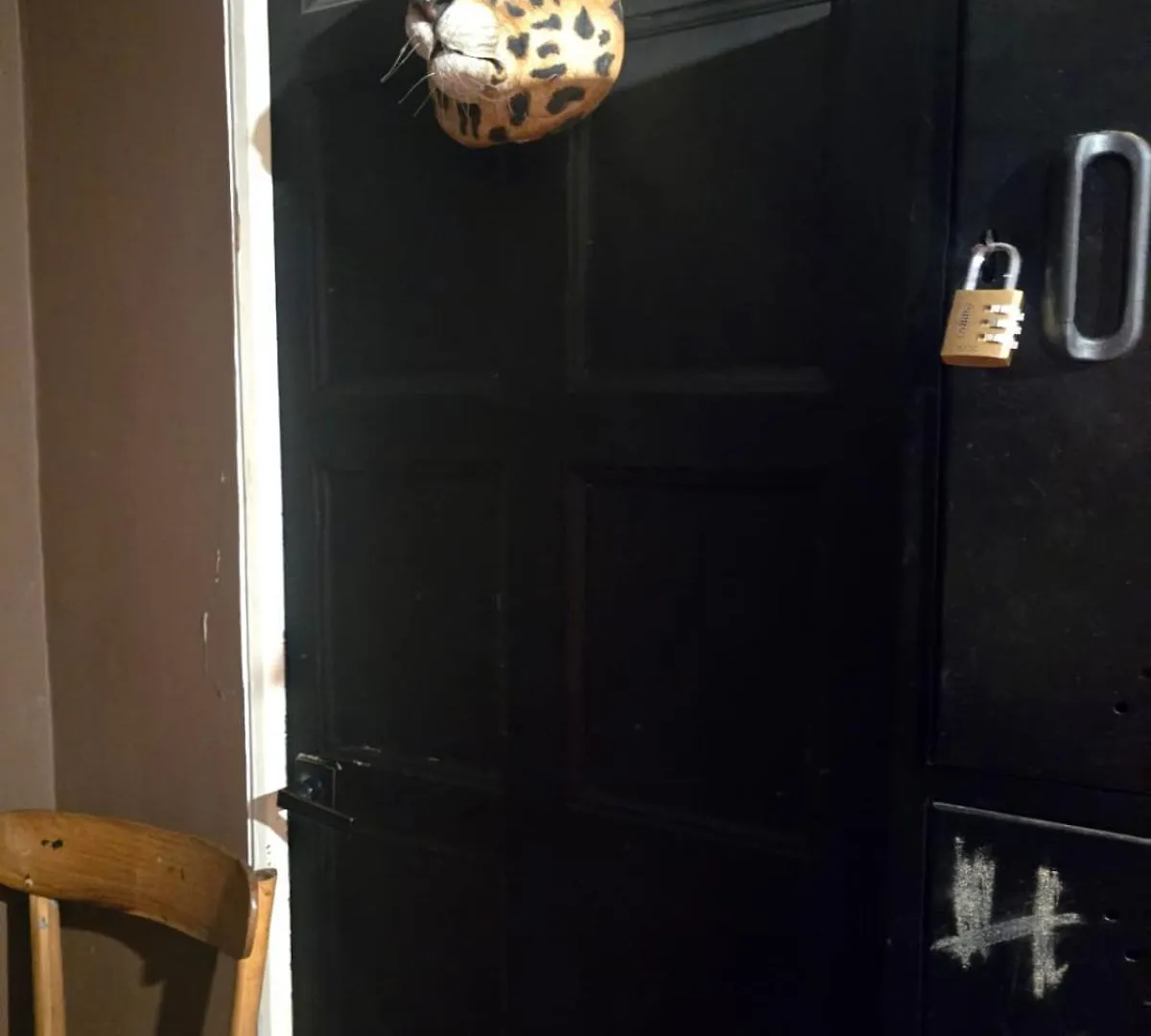 Portelli Hostal-Zona G Para Extranjeros 波哥大 0*,  哥伦比亚